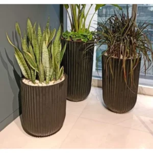 Planter Package