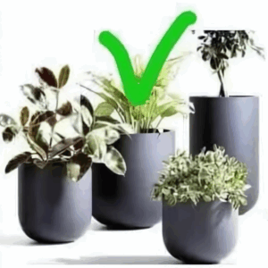 Planters