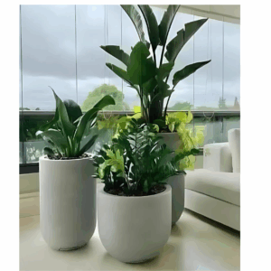 Planters package