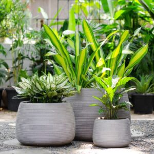 Architectural Premium Planters set