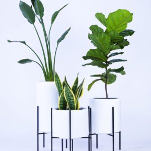 Planters set 3pcs